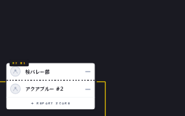 REPORT SCORE